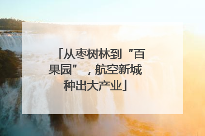 从枣树林到“百果园”，航空新城种出大产业