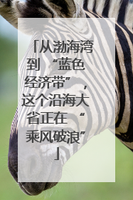 从渤海湾到 “蓝色经济带”，这个沿海大省正在 “乘风破浪”