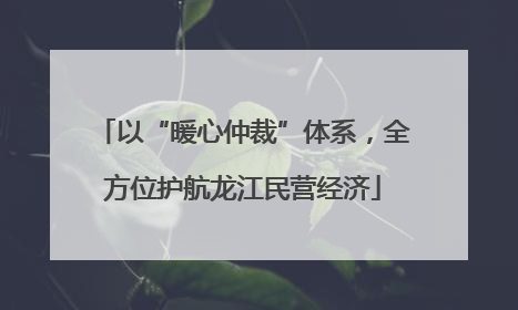 以“暖心仲裁”体系，全方位护航龙江民营经济
