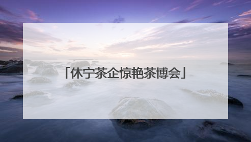 休宁茶企惊艳茶博会