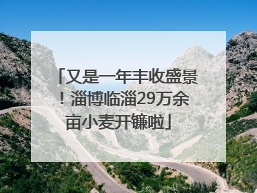 又是一年丰收盛景！淄博临淄29万余亩小麦开镰啦