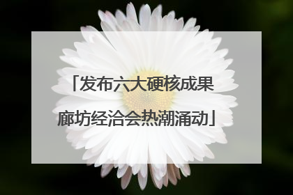 发布六大硬核成果 廊坊经洽会热潮涌动