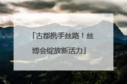 古都携手丝路！丝博会绽放新活力