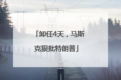卸任4天，马斯克狠批特朗普