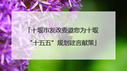 十堰市发改委邀您为十堰“十五五”规划建言献策