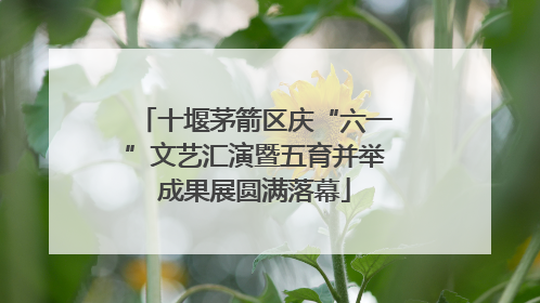 十堰茅箭区庆“六一”文艺汇演暨五育并举成果展圆满落幕