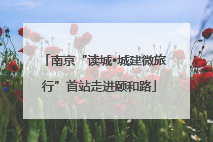 南京“读城•城建微旅行”首站走进颐和路