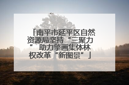 南平市延平区自然资源局坚持“三聚力” 助力擎画集体林权改革“新图景”