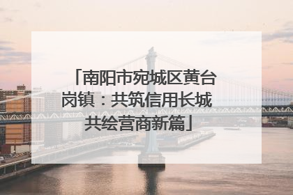 南阳市宛城区黄台岗镇：共筑信用长城 共绘营商新篇