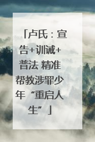卢氏：宣告+训诫+普法 精准帮教涉罪少年“重启人生”