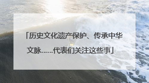 历史文化遗产保护、传承中华文脉……代表们关注这些事