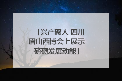 兴产聚人 四川眉山西博会上展示磅礴发展动能