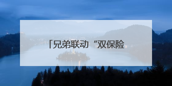 兄弟联动“双保险”守护天路安全
