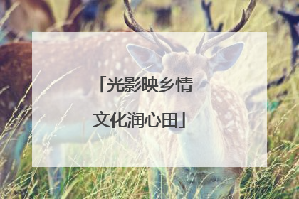 光影映乡情 文化润心田