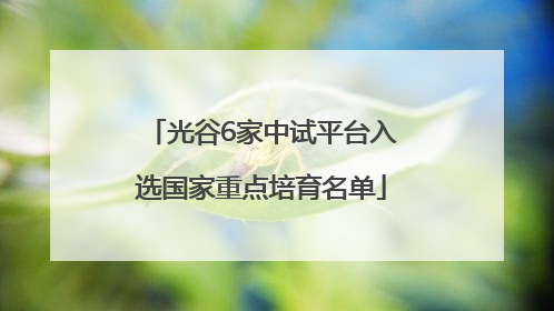 光谷6家中试平台入选国家重点培育名单