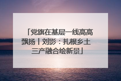党旗在基层一线高高飘扬丨刘影：扎根乡土 三产融合绘新景