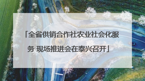 全省供销合作社农业社会化服务 现场推进会在泰兴召开