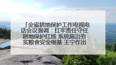全省耕地保护工作电视电话会议强调：扛牢责任守住耕地保护红线 系统施治夯实粮食安全根基 王宁作出批示 王予波出席并讲话