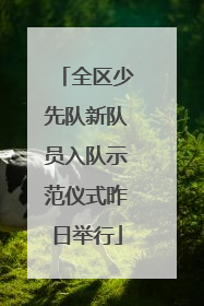 全区少先队新队员入队示范仪式昨日举行