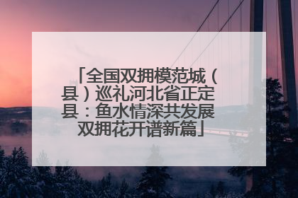 全国双拥模范城（县）巡礼河北省正定县：鱼水情深共发展 双拥花开谱新篇