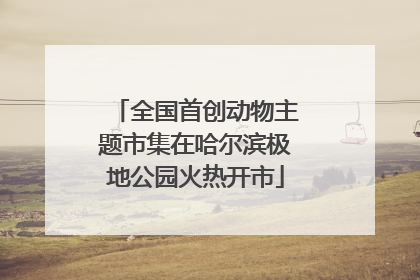 全国首创动物主题市集在哈尔滨极地公园火热开市