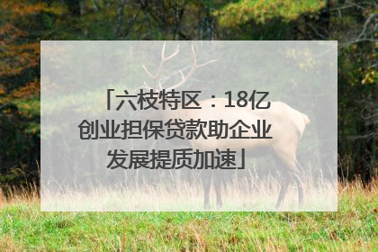 六枝特区：18亿创业担保贷款助企业发展提质加速