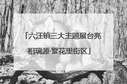 六汪镇三大主题展台亮相瑞源·繁花里街区