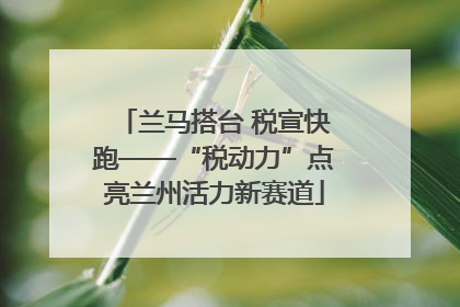 兰马搭台 税宣快跑——“税动力”点亮兰州活力新赛道