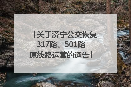 关于济宁公交恢复317路、501路原线路运营的通告