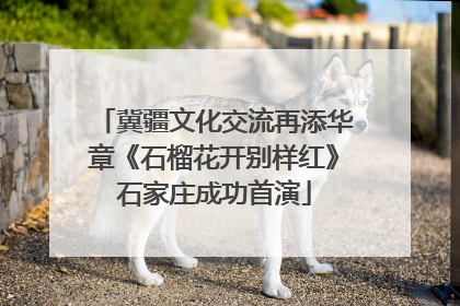 冀疆文化交流再添华章《石榴花开别样红》石家庄成功首演