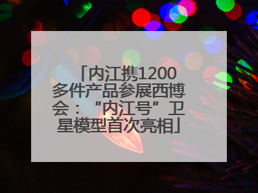 内江携1200多件产品参展西博会：“内江号”卫星模型首次亮相
