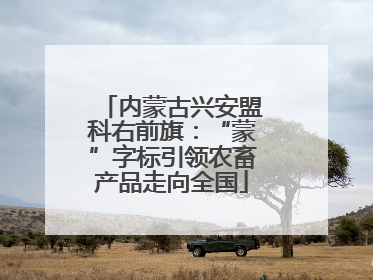 内蒙古兴安盟科右前旗：“蒙”字标引领农畜产品走向全国
