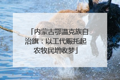 内蒙古鄂温克族自治旗：以工代赈托起农牧民增收梦