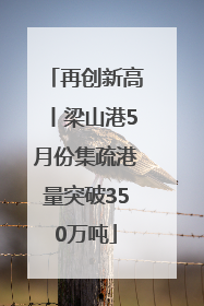 再创新高丨梁山港5月份集疏港量突破350万吨
