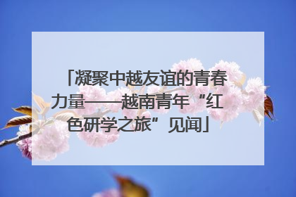 凝聚中越友谊的青春力量——越南青年“红色研学之旅”见闻