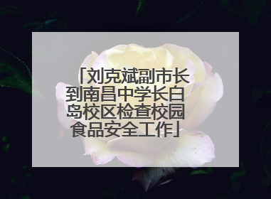 刘克斌副市长到南昌中学长白岛校区检查校园食品安全工作