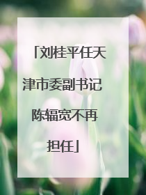 刘桂平任天津市委副书记 陈辐宽不再担任