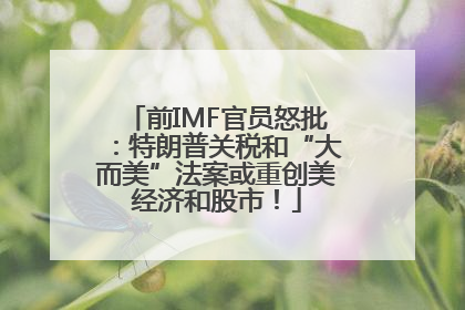 前IMF官员怒批：特朗普关税和“大而美”法案或重创美经济和股市！