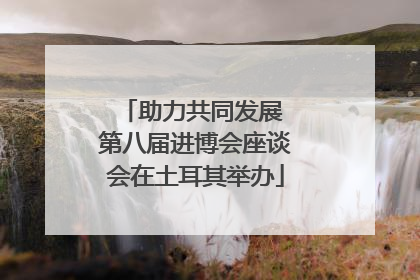 助力共同发展 第八届进博会座谈会在土耳其举办