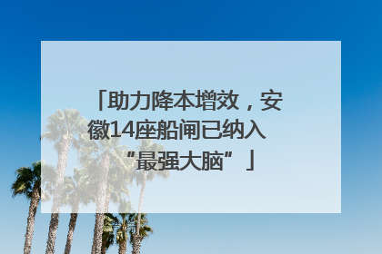 助力降本增效，安徽14座船闸已纳入“最强大脑”