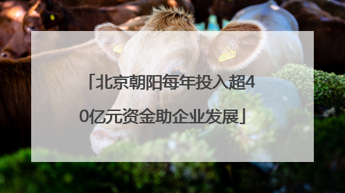 北京朝阳每年投入超40亿元资金助企业发展