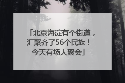 北京海淀有个街道，汇聚齐了56个民族！今天有场大聚会
