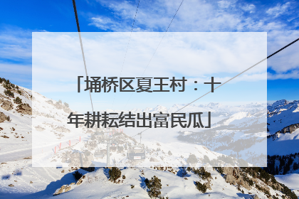 埇桥区夏王村：十年耕耘结出富民瓜