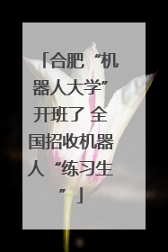 合肥“机器人大学”开班了 全国招收机器人“练习生”