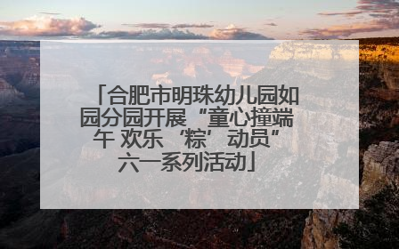 合肥市明珠幼儿园如园分园开展“童心撞端午 欢乐‘粽’动员”六一系列活动