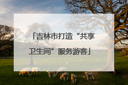 吉林市打造“共享卫生间”服务游客