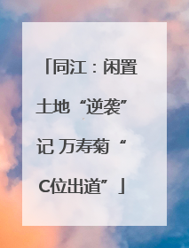 同江：闲置土地“逆袭”记 万寿菊“C位出道”