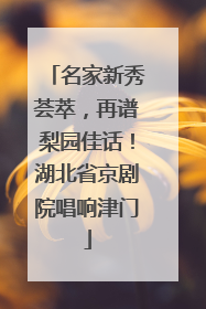 名家新秀荟萃，再谱梨园佳话！湖北省京剧院唱响津门