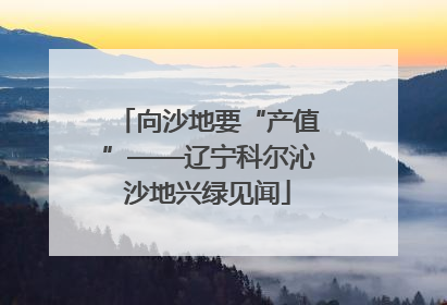 向沙地要“产值”——辽宁科尔沁沙地兴绿见闻