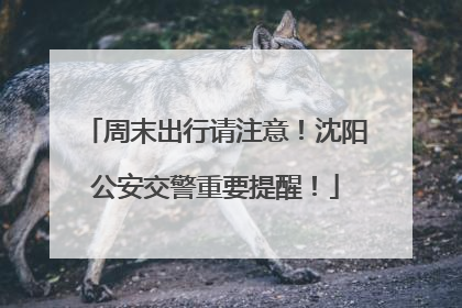 周末出行请注意！沈阳公安交警重要提醒！